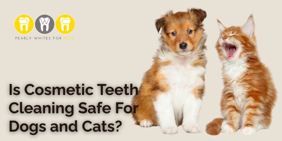 Puppy and kitten with text overlay asking if cosmetic teeth cleaning is safe for dogs and cats, representing Pearly Whites for Pets' focus on pet dental care.