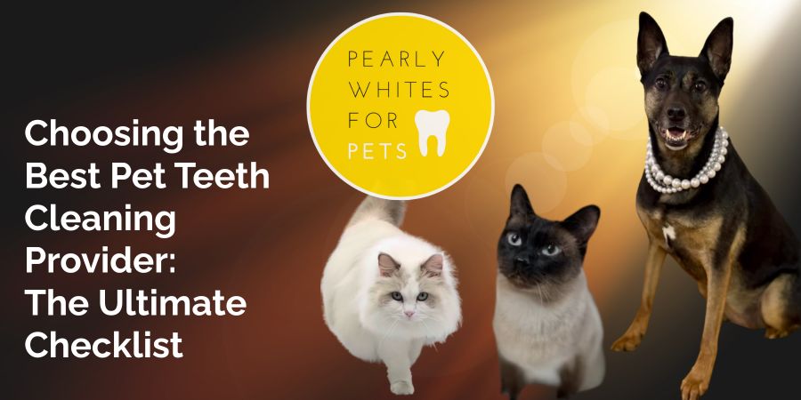 Choosing the best pet teeth cleaning provider with Pearly Whites for Pets logo, featuring a dog and two cats, emphasizing oral hygiene and care.