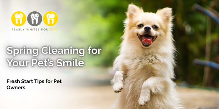 Spring-Cleaning-for-Your-Pets-Smile
