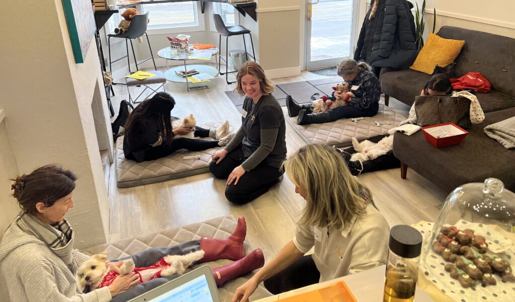 pet teeth cleaning workshops - learning by doing with your pet right there