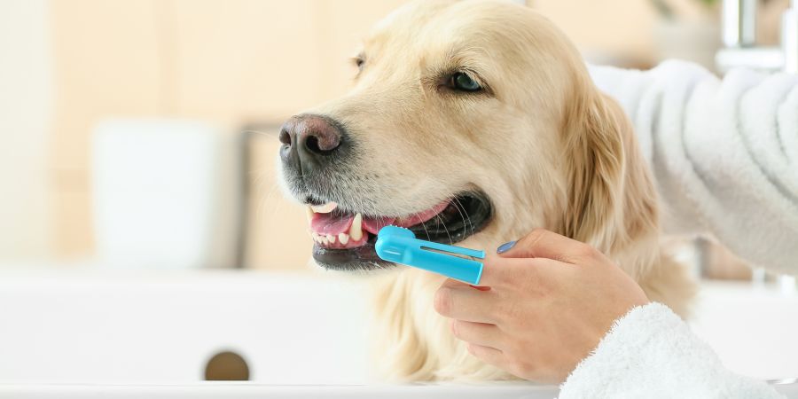 small habits, big impact